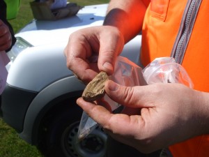 Ardrossan Castle Dig 004