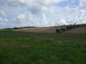 Flodden 2013 069